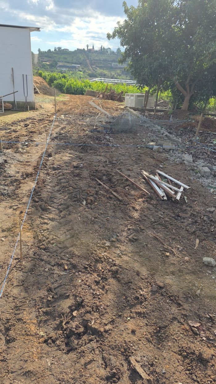 Terreno despejado y trazado para el pabellón