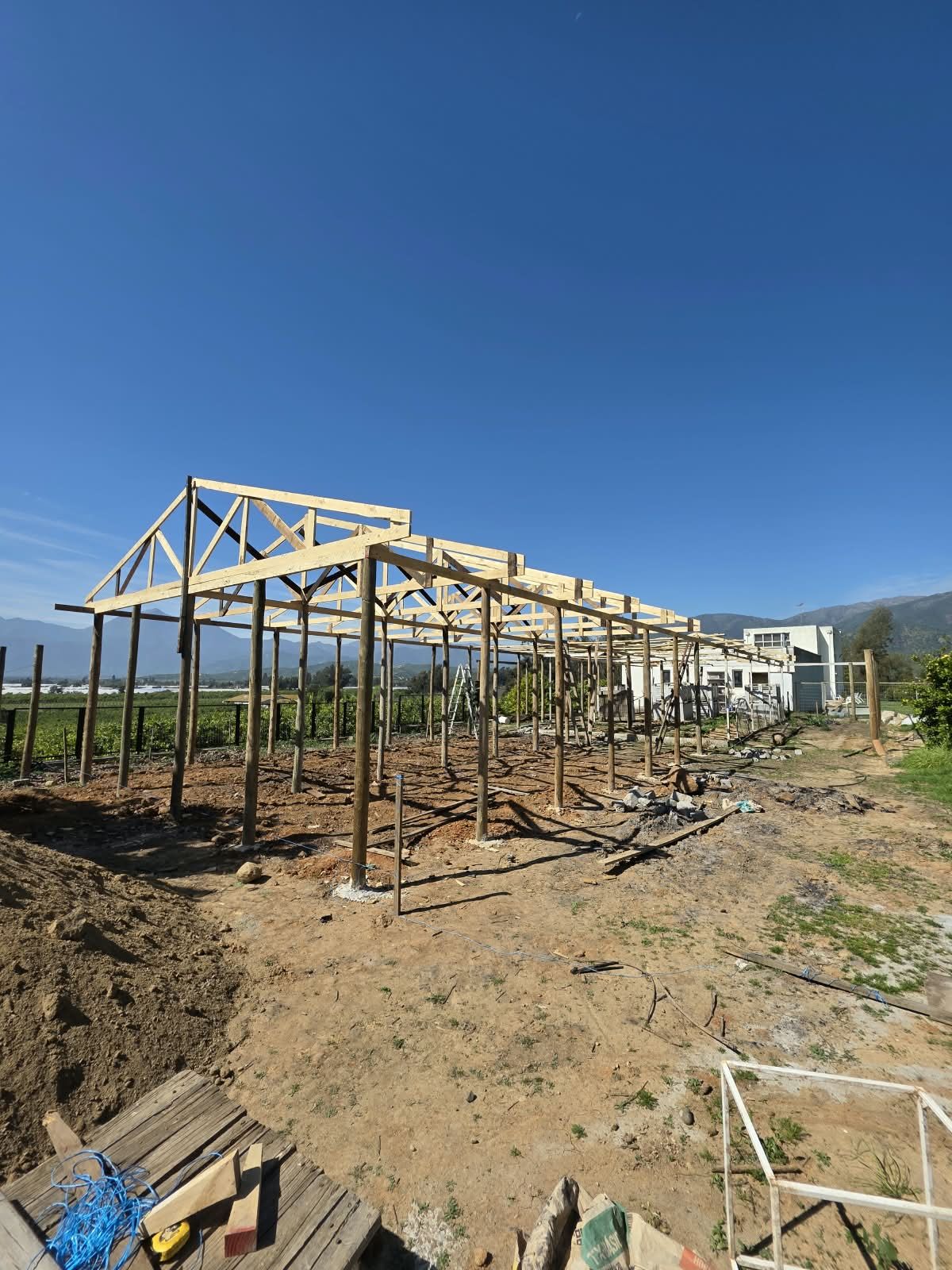 Estructura de madera del pabellón con las cerchas montadas, contra el cielo azul de Limache