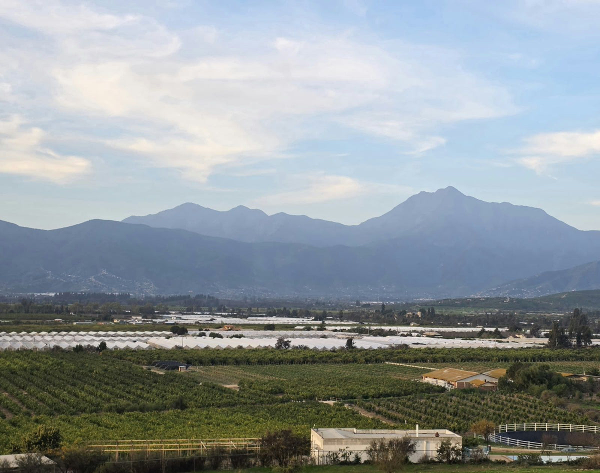 Panorámica del valle de Limache: huertos, invernaderos y la cordillera de fondo